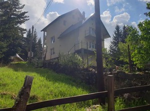 Durmitor | Pitomine
