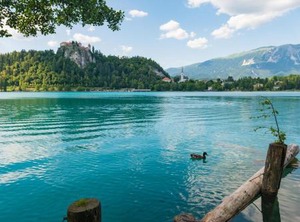 Emona | Bled