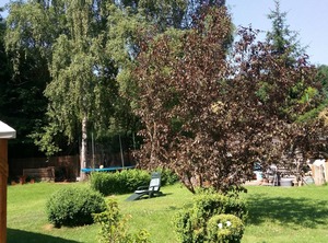 Germania | Ilmenau