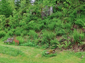 Historische Sägemühle | Furtwangen
