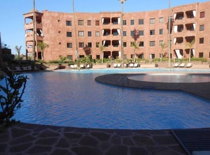 Marrakech | Palmeraie