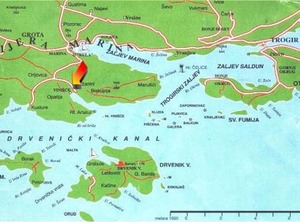 Maslina | Vinisce
