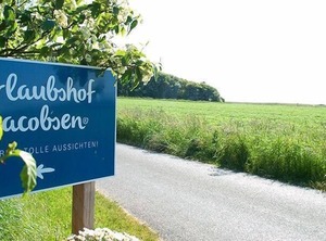 Maycke | Nieblum
