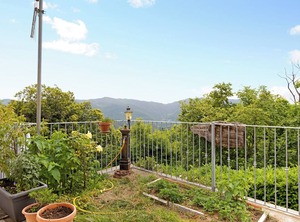 Arianna | Ricco del Golfo di Spezia