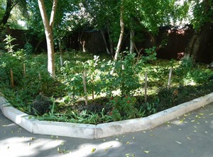 Timiryazeva | Irkutsk