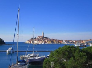 Pineta | Borik