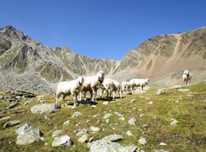 Saphir | Soelden