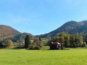 Taubenschlag Grünau | Muhldorf