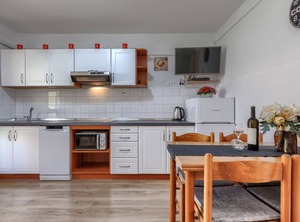 Holiday Poreč Terrace Air Condition Dishwasher | City Center