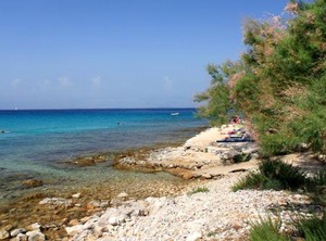 Mima The Beach Susica | Susica