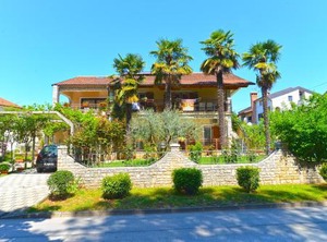 Marko | Porec