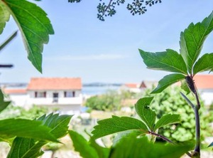 Tarragon | Kraj