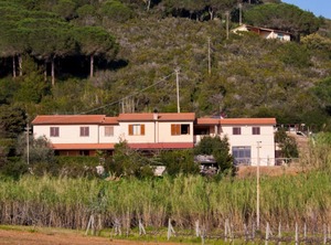 Villa Norsi Capoliveri | Capoliveri
