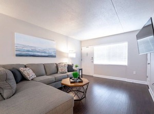 Tampa | Swann Estates