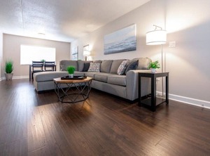 Tampa | Swann Estates