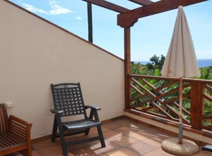 Apt Heliconia | La Calera