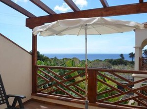 Apt Heliconia | La Calera