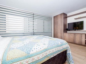 Arauco | Apoquindo