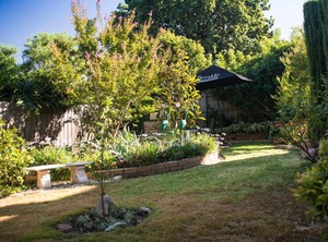 Austin Rise Breakfast | Heidelberg