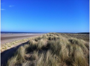 Countryside The Coast | Sharrington