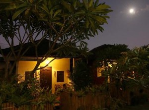 Sri Bungalows | Ubud City-Centre