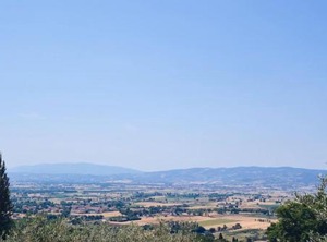 Lavanda E Rosmarino | Assisi