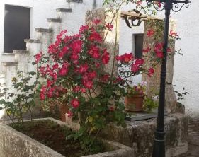 B Masseria Donna Carlotta | Carpignano Salentino