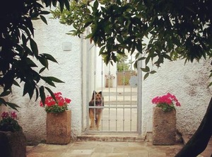 B Masseria Donna Carlotta | Carpignano Salentino