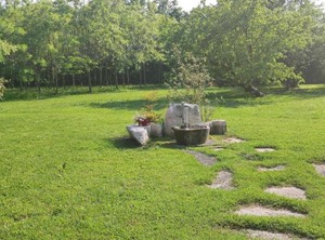 B Villa Elisa | Motta di Livenza