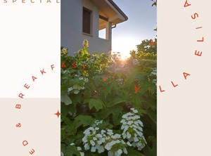B Villa Elisa | Motta di Livenza