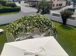 B Villa Griselda | Quinto di Treviso