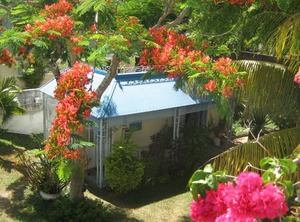 Les Buisson Bungalows Péreybère | Pereybere