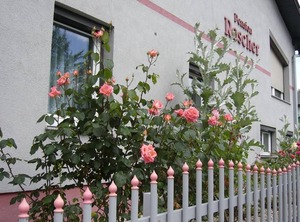 Pension Sonnenschein | Klopein