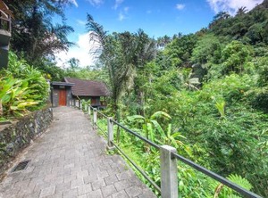 Bali Jungle Huts | Sebatu