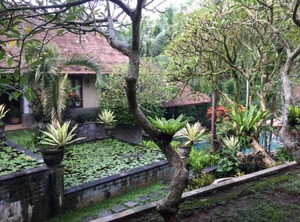 Style Sukawati Gianyar Garden The Property | Sukawati
