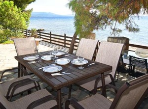 Metamorfosi | Metamorfosi