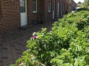 Fehmarnstrand | Sulsdorf