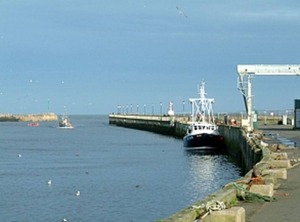 Bay | Amble