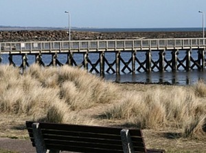 Bay | Amble