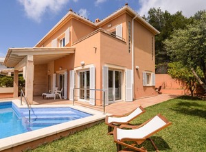 Oliveres Alcúdia | Alcanada