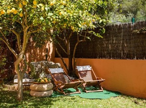 Oliveres Alcúdia | Alcanada