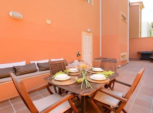 Oliveres Alcúdia | Alcanada