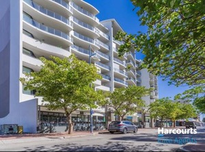 Nautilus | Rockingham