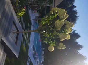 All Year Hamptons | Water Mill