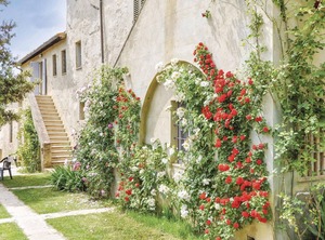 Sanlucchese Poggibonsi Si | Poggiarello