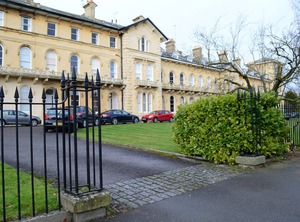 Cheltenham | Montpellier