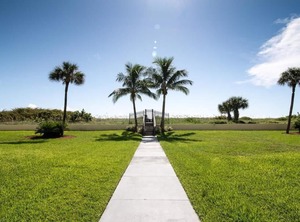 Sea Oats | Cocoa Beach
