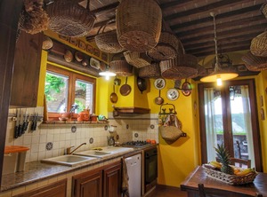 Villa Ficulle Swimming | Ficulle