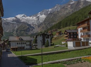 Bergfink | Saas-Fee