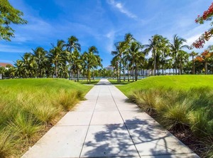 Arya Miami | Flamingo/Lummus